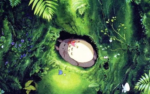 龙猫博士爆料视频大全下载,揭秘神秘世界背后的真相  第3张